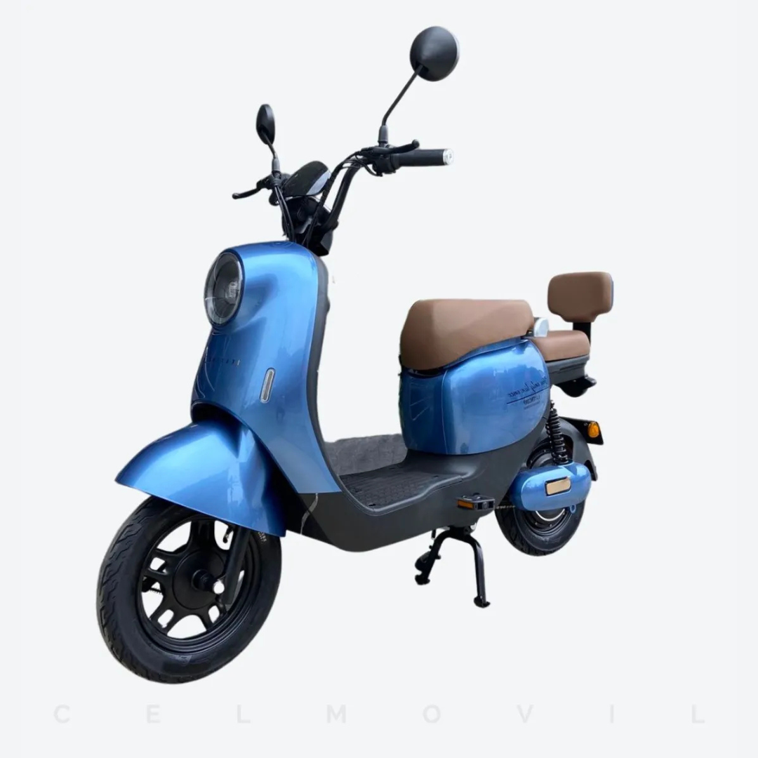 Bicicleta Kayencorp Lifepo4 48v 24ah 10 25 Km/h