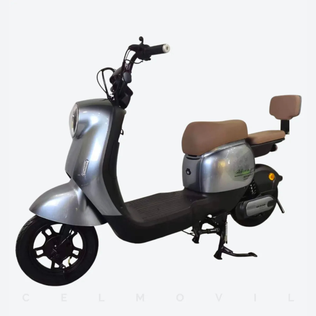 Bicicleta Kayencorp Lifepo4 48v 24ah 10 25 Km/h