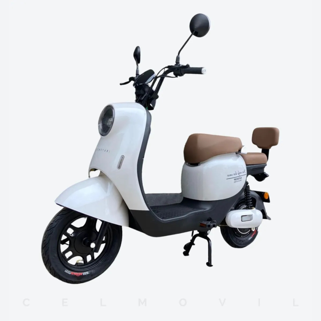 Bicicleta Kayencorp Lifepo4 48v 24ah 10 25 Km/h