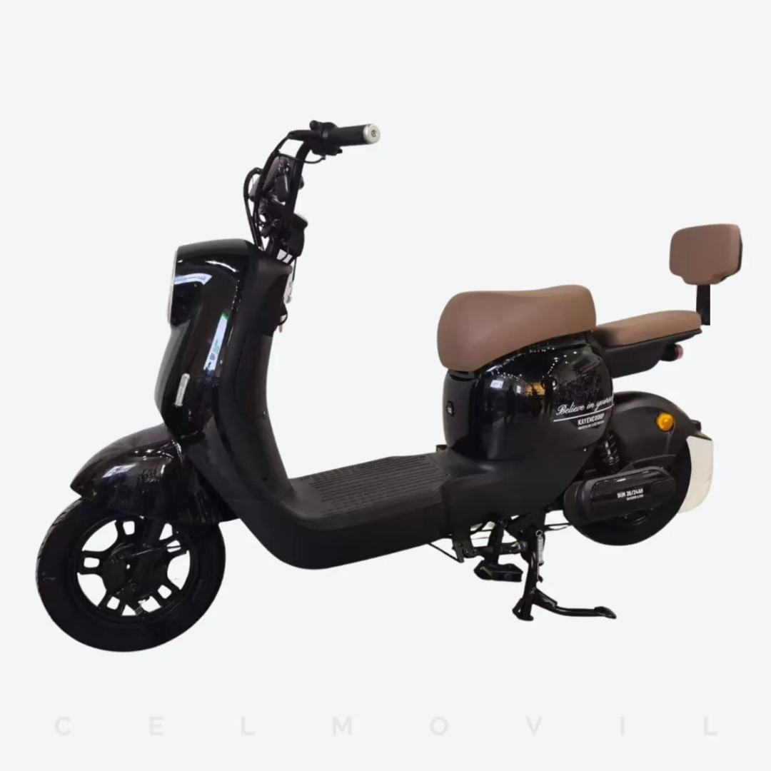 Bicicleta Kayencorp Lifepo4 48v 24ah 10 25 Km/h