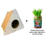 Pack Rascador Triángulo Blanco + Hierba Natural Para Gatos