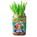 Pack 3 Hierba natural para gatos mejor digestión previene bola pelos - Imagen 2